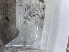 -重庆彩云湖湿地公园