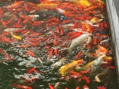 -湄公河秘制烤鱼(西双十贰城商业中心店)