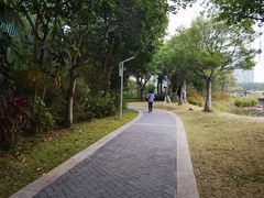 -福田红树林生态公园