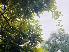 -鼎族怡华·指压·油压·经络(西单昌盛大厦店)
