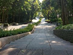 -深圳国际园林花卉博览园