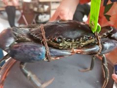 -Ministry of Crab•MOC(交子大道店)