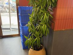 -王家大院·南京菜(湛江路总店)