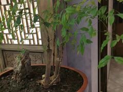 -枕水江南(红胜大街店)