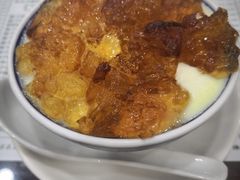 桃胶双皮奶-仁信老铺(华盖路店)