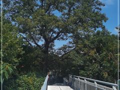 -佛山华盖山公园