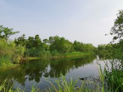 -上海长兴岛郊野公园