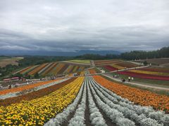-富田农场