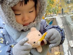 -腾爱熊猫咖啡生活馆(老东门店)