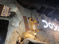 -Zoolung Zoolung动物主题公园(海信广场店)