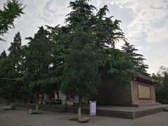 -函谷关历史文化旅游区