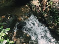 -火炉山森林公园