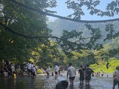 -广州市石门国家森林公园