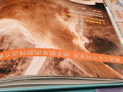 -巴依老爷新疆美食(望京小街店)