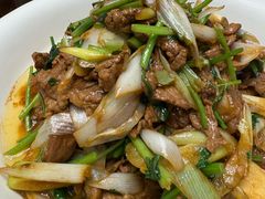 葱爆羊肉-燕春楼(海河华鼎店)