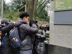 -中国大熊猫保护研究中心雅安碧峰峡基地