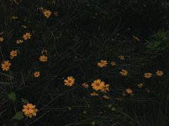 -金山公园