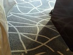-常州环球恐龙城维景国际大酒店