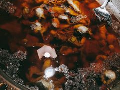 -雲蜀龙阁·金牌水煮鱼(方庄店)