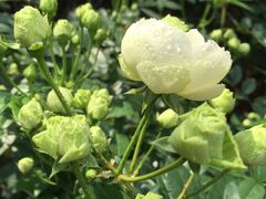 -人民公园(罗湖区)