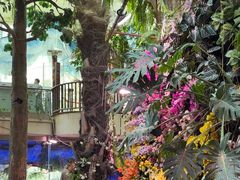 -正佳雨林生态植物园