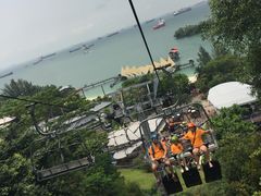 -圣淘沙天际线斜坡滑车