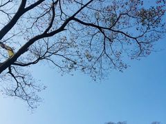 -广州市石门国家森林公园
