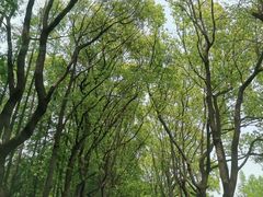 -宝岩生态观光园