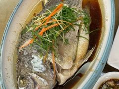 -龙记烤鸭店(新民路店)