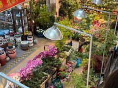 -双季花艺园艺市场(浦东店)