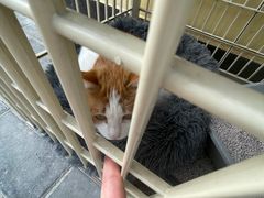 -情忆草原涮肉馆