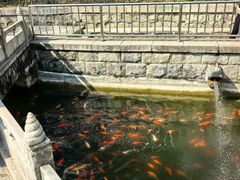 -红螺寺