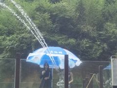 -将军关探险漂流