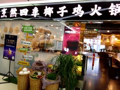 -烹然四季椰子鸡火锅(团结湖总店)