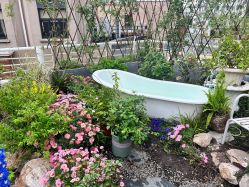 -WAVE SODA摄影工作室