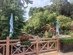 -广州白江湖森林公园