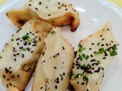 锅贴-张记汤馆(嫩江路店)