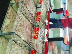 -海龙渔村(万江分店)