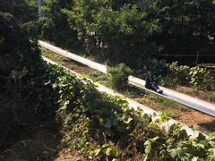 -富斯特索道