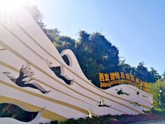 -西双版纳原始森林公园