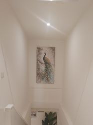-皙塑美肤·spa