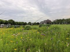 -干老庆贵州留一手烤鱼·地摊火锅(财经大学店)
