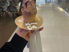 -野人先生现做冰淇淋(北京王府井东方新天地店)