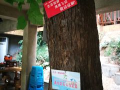 -天怡·鱼工厂(梅溪湖店)