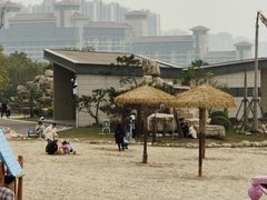 -九龙湖公园
