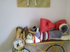 -Husky Go! 哈士奇体验馆·宠物咖啡厅狗咖