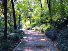 景点-成都市活水公园