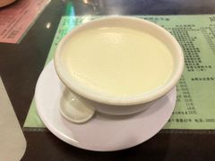 南信双皮奶-南信牛奶甜品专家