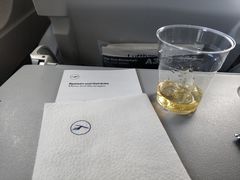 -德国汉莎航空公司