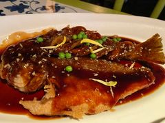 -桂满陇天书(南京德基旗舰店)